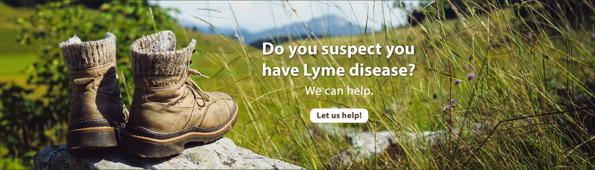 Lyme DIsease - Townsend Naturopathic Clinic Burlington